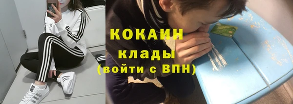 кокс Вяземский